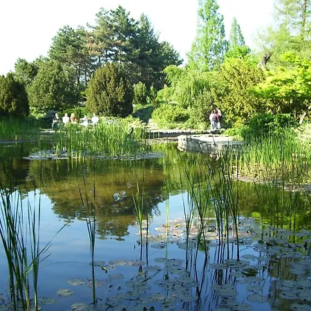 Bianka & Car Rent Auberge de jeunesse *