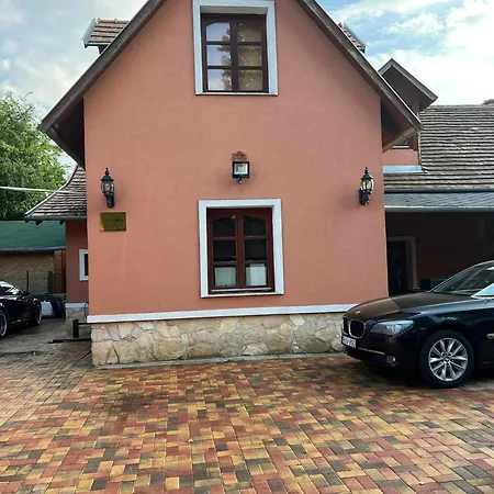 Todor Vendég Ház