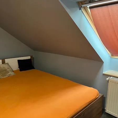 Bianka & Car Rent ホステル *